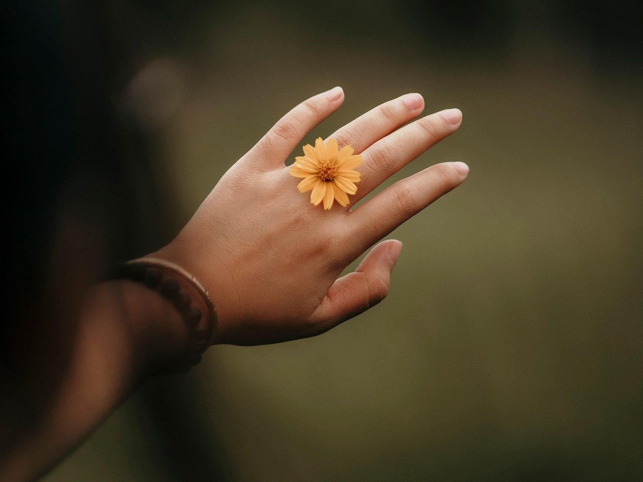 Boutonniere: A Classic Floral Touch for Special Occasions