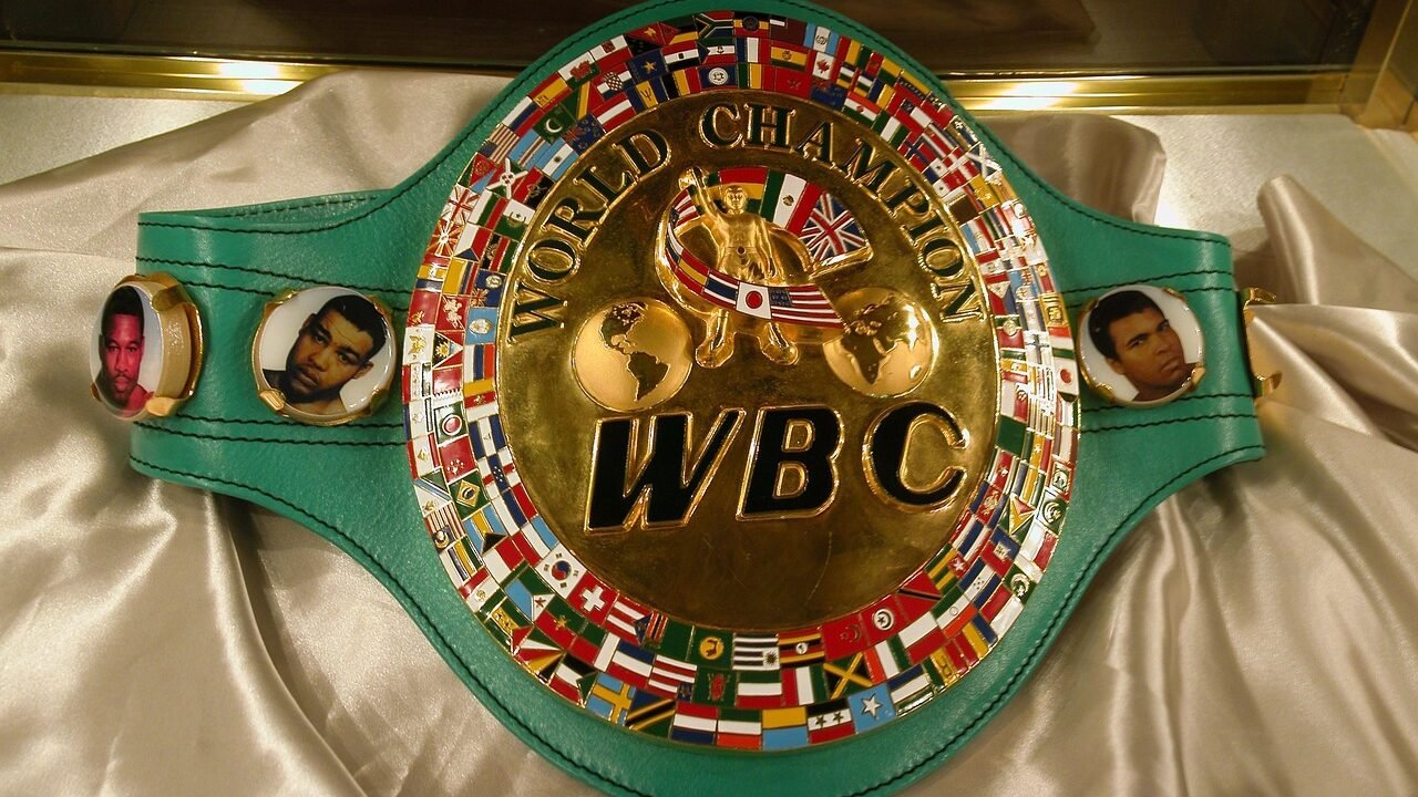 WWE Title Belts: Shop Championship & World Heavyweight Belts