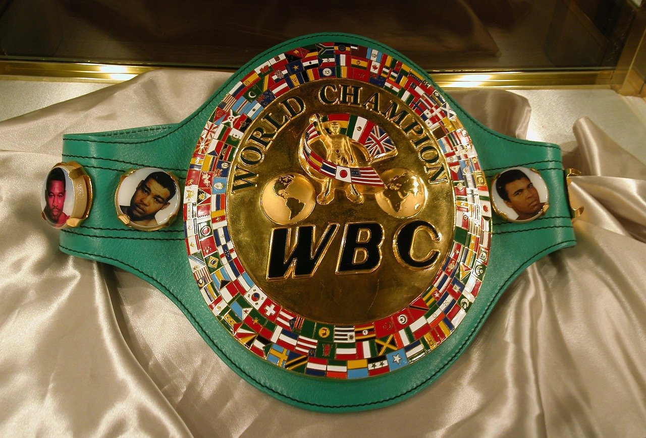 WWE Title Belts: Shop Championship & World Heavyweight Belts